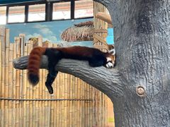 -辛玛王国游乐园