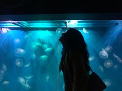 -重庆欢乐海底世界