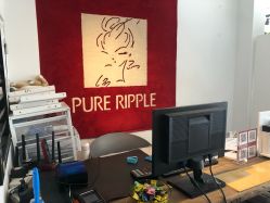 -净漪造型 PURE RIPPLE