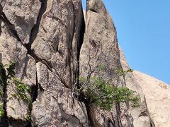 -崂山巨峰游览区