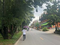 -西双版纳傣族园