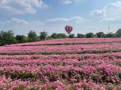 -歌斐颂巧克力小镇