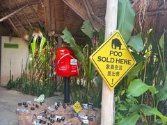 -大象粑粑造纸公园