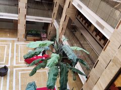 -黄台大酒店中餐厅(黄台店)