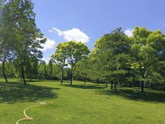 -北坞公园