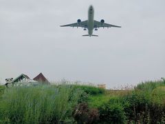 -空港花田景区