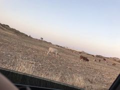 -库伦旗银沙湾旅游景区