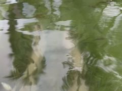-鱼凫国都大酒店温泉
