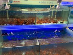 -物美大卖场(玉蜓桥店)