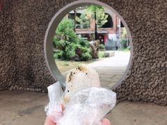 -殷姐糯米包油条