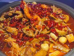 -徐记小怪兽肉蟹煲店(哈西万达金街店)
