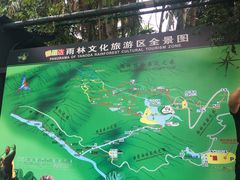 -呀诺达热带雨林