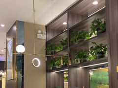 -刘胖子家常菜·蹄花焖藕(中南店)