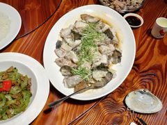 -顺德了能馆(虎门店)