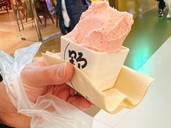 -野人先生现做冰淇淋(北京王府井东方新天地店)