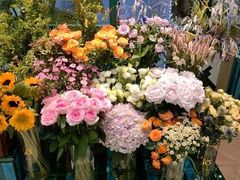 -BOBLOOM花店(宝龙旭辉广场店)