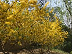 -元大都城垣遗址公园