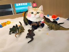 -成都浩海立方海洋公园