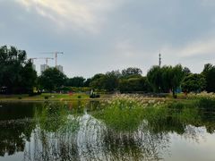 -太阳宫公园