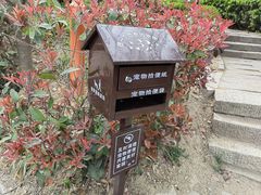 -观象山公园