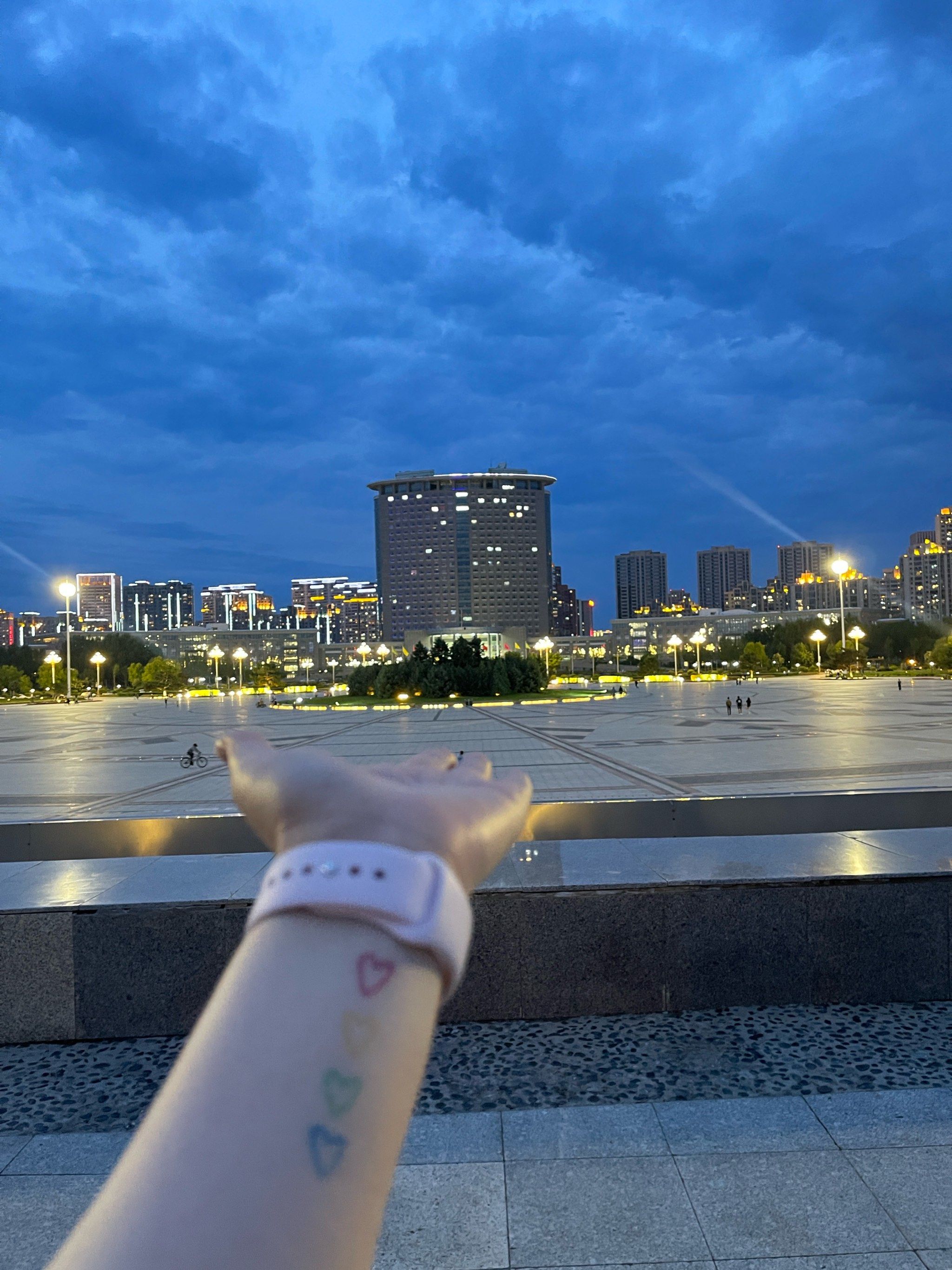 广场面积非常大,视野开阔,#「哈尔滨市政府大厦」设施完善,有花有草有
