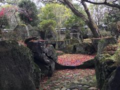 -料亭菊水楼