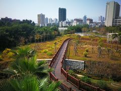 -金鸡岭桥头公园
