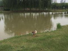 -骏途旅游
