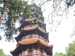 -天下玉苑