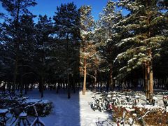 -吉林大学(前卫南区)