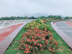 -灞河西岸滨河公园