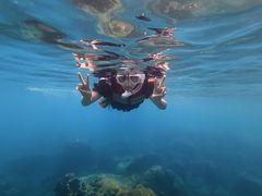 -亚龙湾海底世界