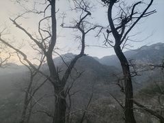 -泰山风景名胜区