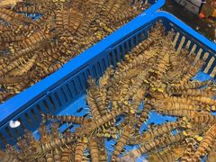 -渔傅·霞浦滩涂海鲜(建平店)