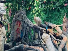 -野象谷景区