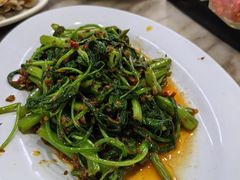 -新峰肉骨茶