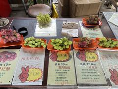 -马陆小张葡萄园农家乐