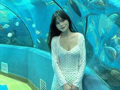 -合肥海洋世界