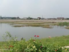 -付小姐在成都(吾悦广场店)