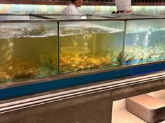 -海天盛宴海鲜自助(正大广场店)