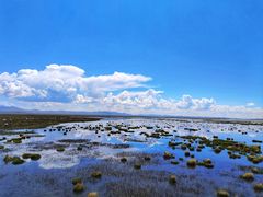 -花湖生态旅游区