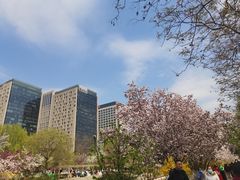 -元大都城垣遗址公园