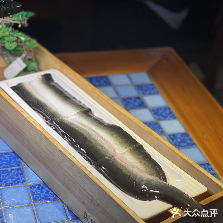 🏮仙霞路美食一条街 | 银座苑烧肉酒场🏮