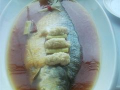 鲥鱼-西湖春天•老字号杭州菜(百汇店)