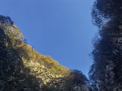 -少华山国家森林公园