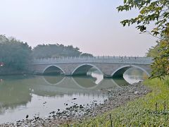 -海珠湖公园