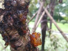 -上海市保健医疗中心