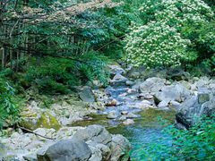 -明月山风景名胜区