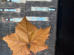 -Kathleen's Waitan 凯圣琳江景西餐厅(外滩店)