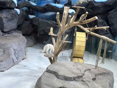 -海合安青岛极地海洋公园